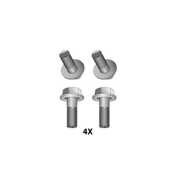 Priedų komplektas, diskinių stabdžių trinkelės RAICAM 12079354