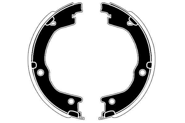 Stabdžių trinkelių komplektas, stovėjimo stabdis RAICAM RA20350