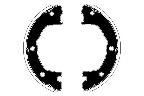 Stabdžių trinkelių komplektas, stovėjimo stabdis RAICAM RA27811