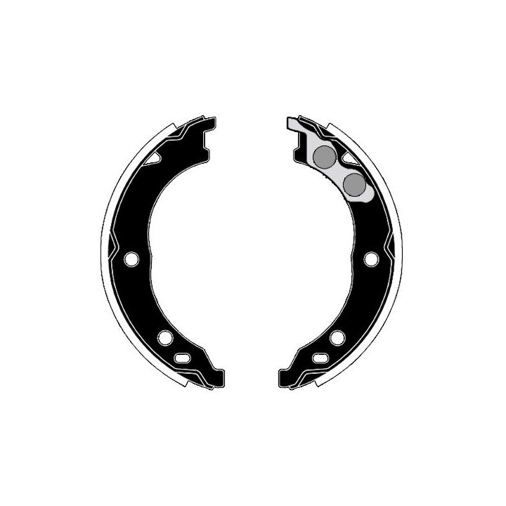 Stabdžių trinkelių komplektas, stovėjimo stabdis RAICAM RA28650