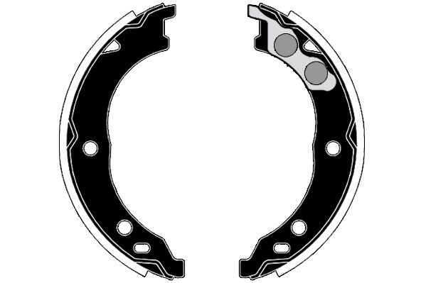 Stabdžių trinkelių komplektas, stovėjimo stabdis RAICAM RA28650