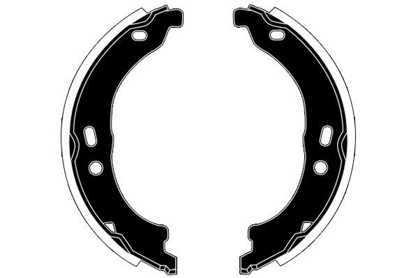 Stabdžių trinkelių komplektas, stovėjimo stabdis RAICAM RA28710