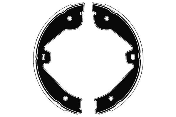 Stabdžių trinkelių komplektas, stovėjimo stabdis RAICAM RA28810