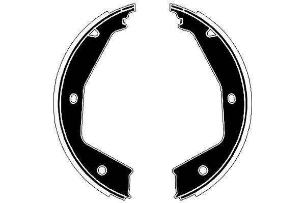 Stabdžių trinkelių komplektas, stovėjimo stabdis RAICAM RA28910