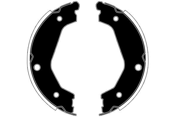 Stabdžių trinkelių komplektas, stovėjimo stabdis RAICAM RA29020