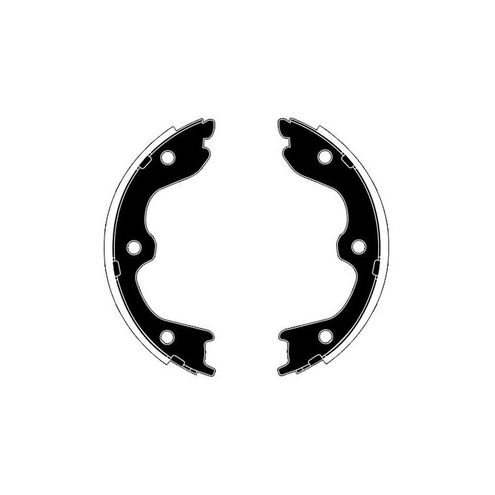 Stabdžių trinkelių komplektas, stovėjimo stabdis RAICAM RA29030