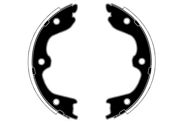 Stabdžių trinkelių komplektas, stovėjimo stabdis RAICAM RA29030