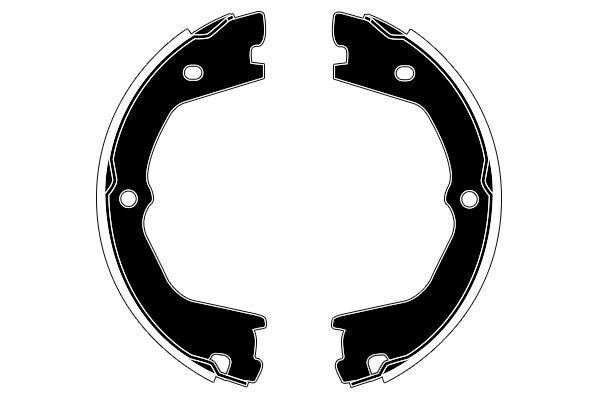 Stabdžių trinkelių komplektas, stovėjimo stabdis RAICAM RA29250