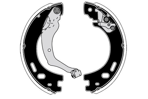 Stabdžių trinkelių komplektas, stovėjimo stabdis RAICAM RA29610