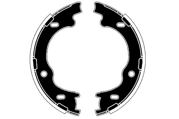 Stabdžių trinkelių komplektas, stovėjimo stabdis RAICAM RA29620