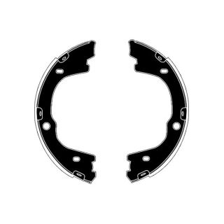 Stabdžių trinkelių komplektas, stovėjimo stabdis RAICAM RA29750