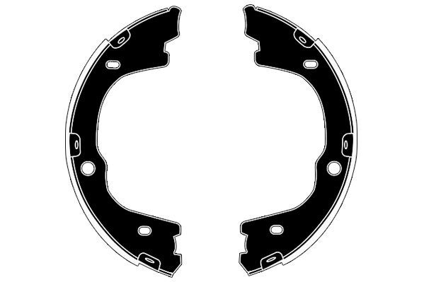 Stabdžių trinkelių komplektas, stovėjimo stabdis RAICAM RA29750