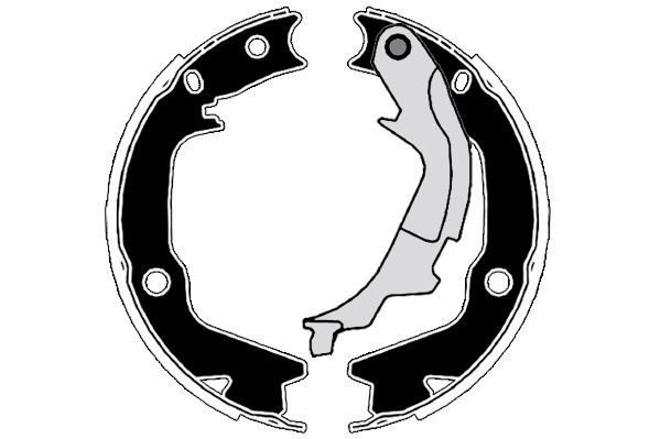 Stabdžių trinkelių komplektas, stovėjimo stabdis RAICAM RA29810