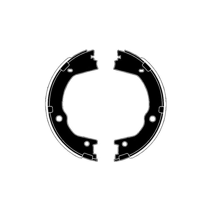 Stabdžių trinkelių komplektas, stovėjimo stabdis RAICAM RA29840