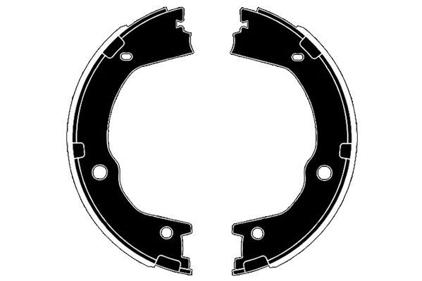 Stabdžių trinkelių komplektas, stovėjimo stabdis RAICAM RA29840