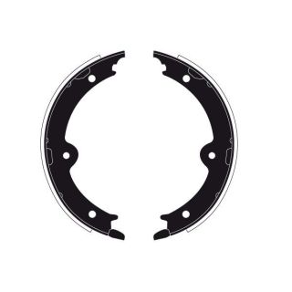 Stabdžių trinkelių komplektas, stovėjimo stabdis RAICAM RA29910