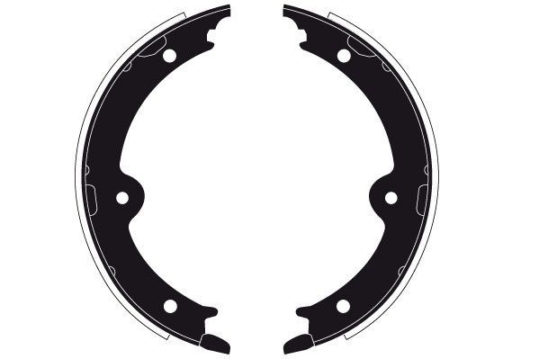 Stabdžių trinkelių komplektas, stovėjimo stabdis RAICAM RA29910