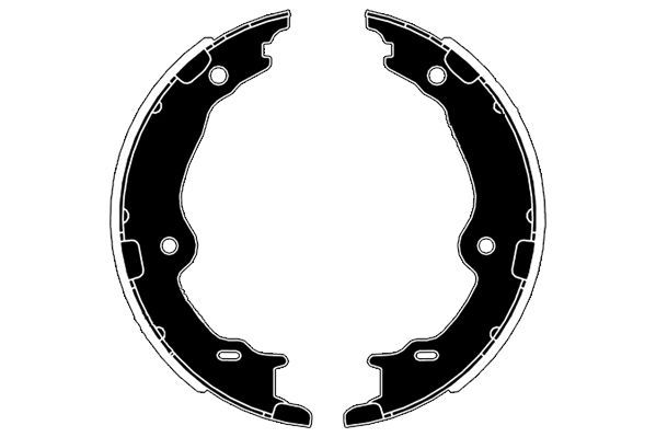 Stabdžių trinkelių komplektas, stovėjimo stabdis RAICAM RA29920