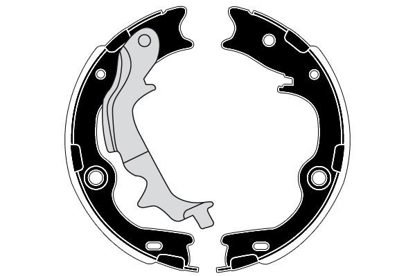 Stabdžių trinkelių komplektas, stovėjimo stabdis RAICAM RA30080