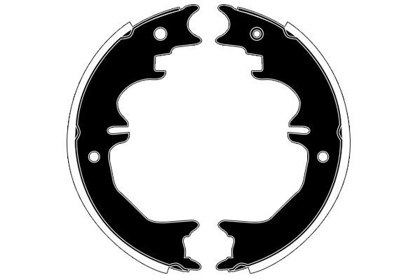 Stabdžių trinkelių komplektas, stovėjimo stabdis RAICAM RA30300