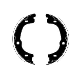 Stabdžių trinkelių komplektas, stovėjimo stabdis RAICAM RA30310