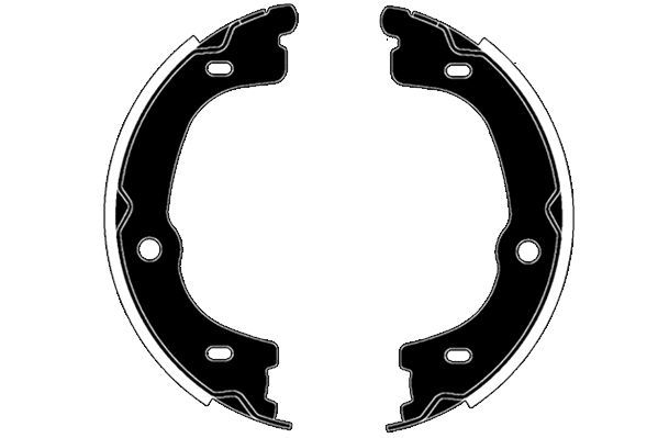 Stabdžių trinkelių komplektas, stovėjimo stabdis RAICAM RA30310