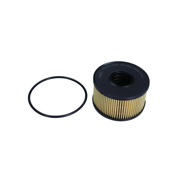 Alyvos filtras MAXGEAR 26-0042