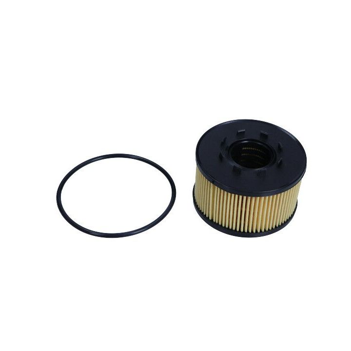 Alyvos filtras MAXGEAR 26-0042