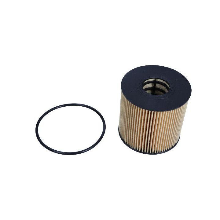 Alyvos filtras MAXGEAR 26-0071