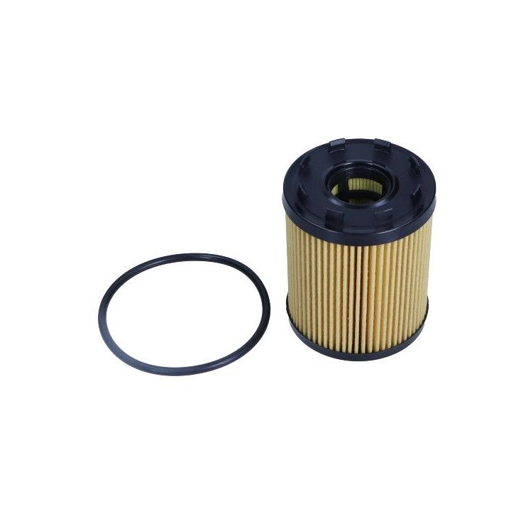 Alyvos filtras MAXGEAR 26-0195