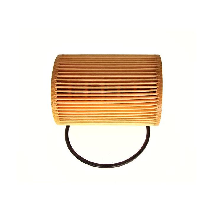 Alyvos filtras MAXGEAR 26-0294