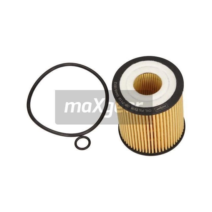 Alyvos filtras MAXGEAR 26-0893
