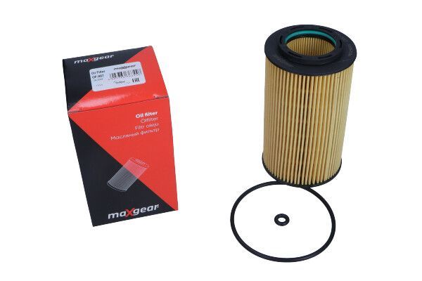 Alyvos filtras MAXGEAR 26-2019