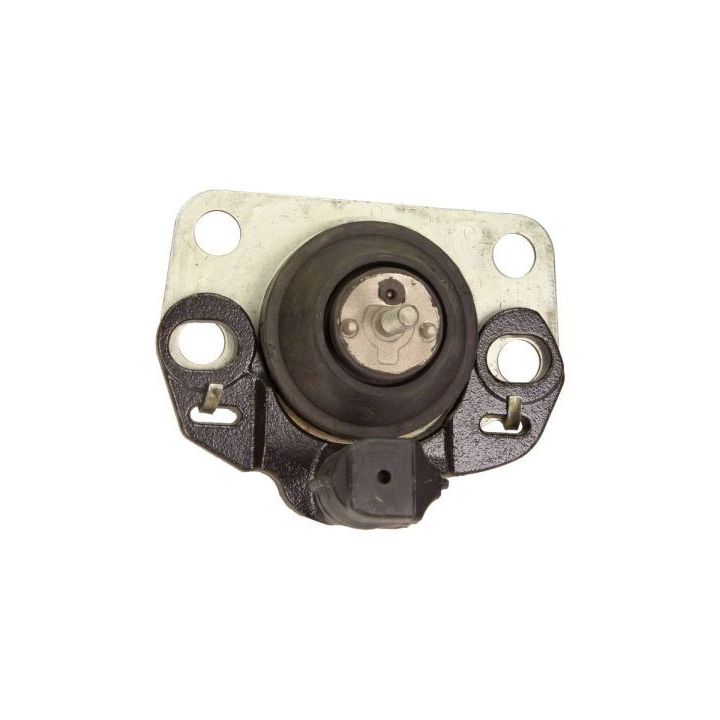 Variklio montavimas MAXGEAR 40-0050