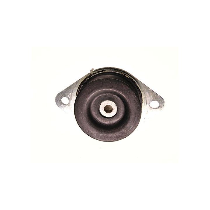 Variklio montavimas MAXGEAR 40-0264