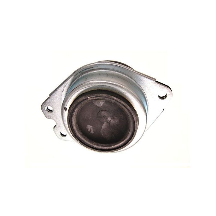 Variklio montavimas MAXGEAR 40-0279