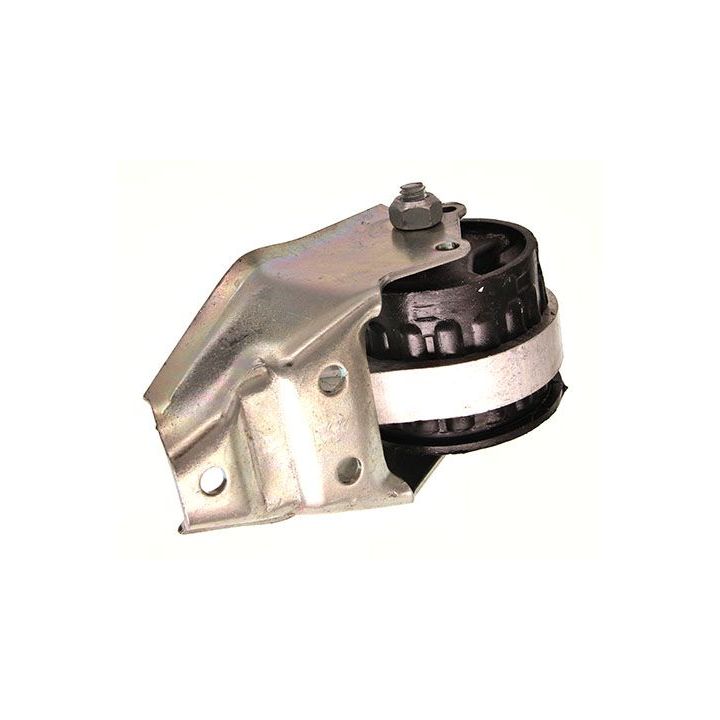 Variklio montavimas MAXGEAR 40-0342