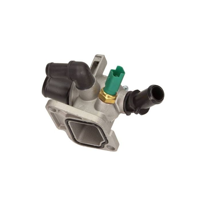 Termostatas, aušinimo skystis MAXGEAR 18-0251