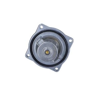 Termostatas, aušinimo skystis MAXGEAR 67-0027