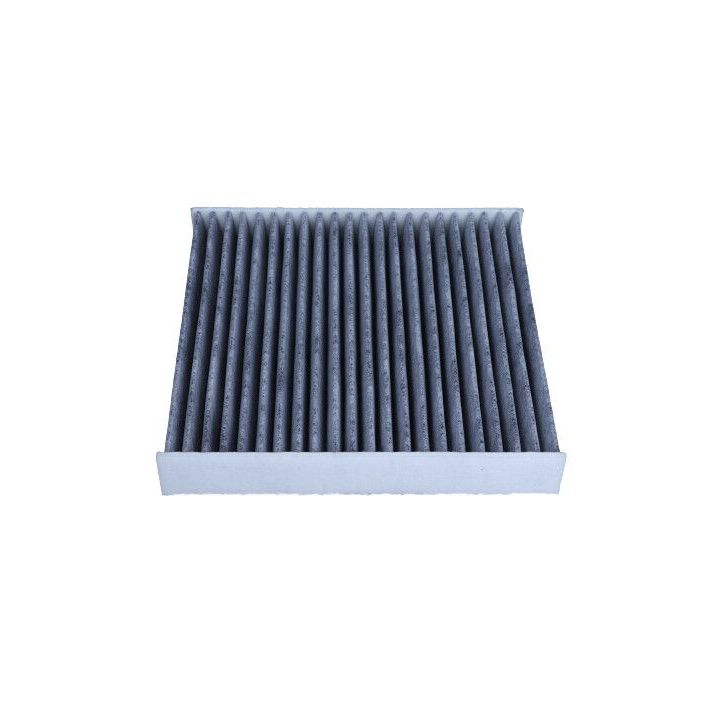 Filtras, salono oras MAXGEAR 26-1610