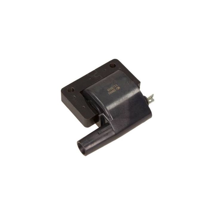 Ritė, uždegimas MAXGEAR 13-0005