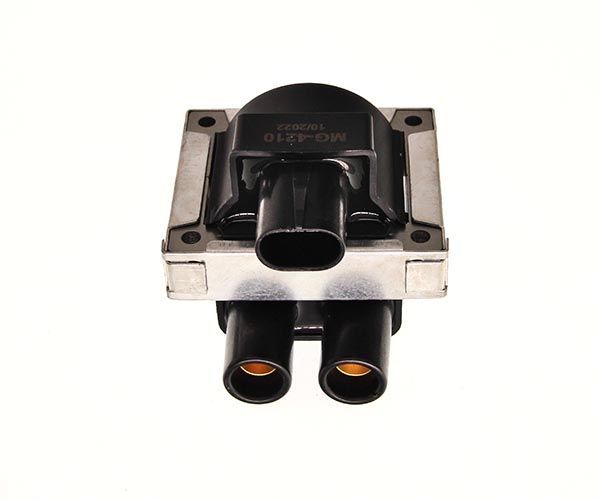Ritė, uždegimas MAXGEAR 13-0012