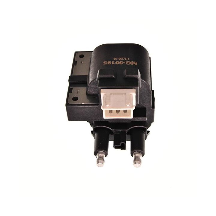 Ritė, uždegimas MAXGEAR 13-0043