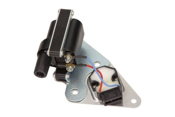 Ritė, uždegimas MAXGEAR 13-0055