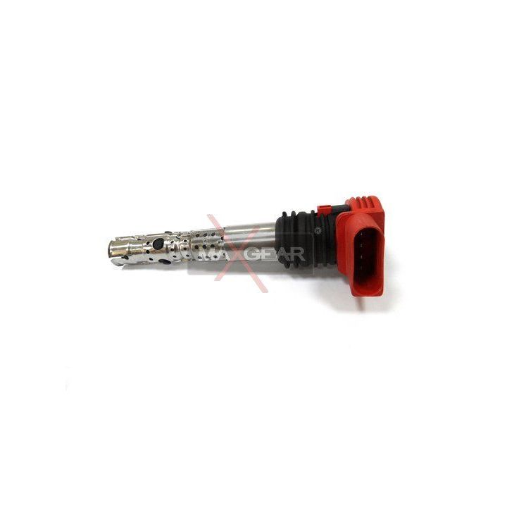 Ritė, uždegimas MAXGEAR 13-0108