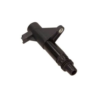 Ritė, uždegimas MAXGEAR 13-0114