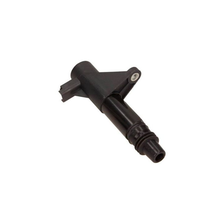 Ritė, uždegimas MAXGEAR 13-0114