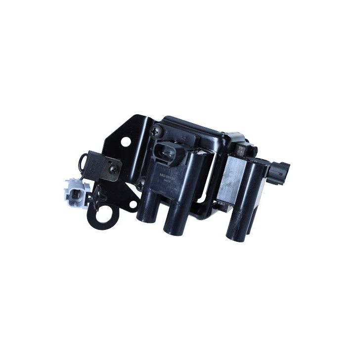 Ritė, uždegimas MAXGEAR 13-0124