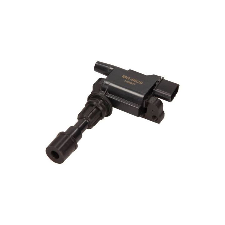 Ritė, uždegimas MAXGEAR 13-0166