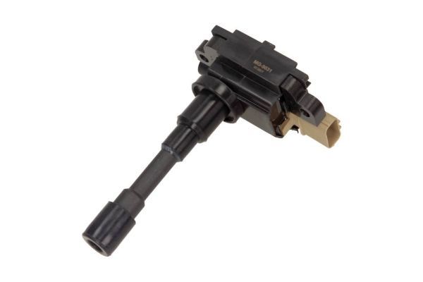 Ritė, uždegimas MAXGEAR 13-0168